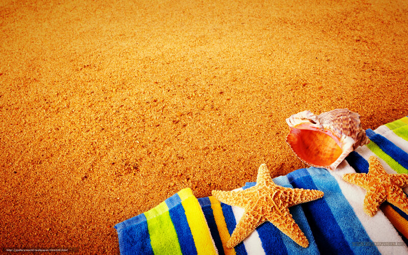 beach towel with seashells