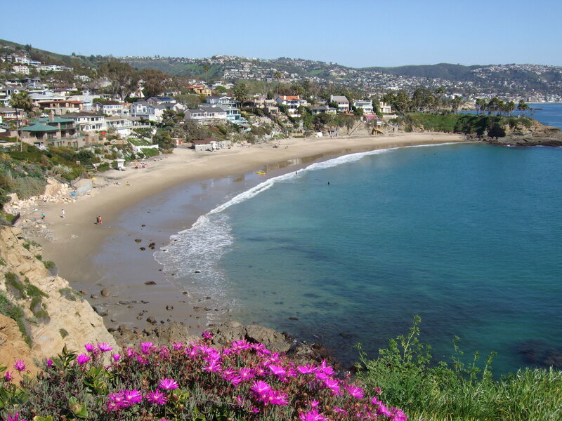 beach town with purple flowers