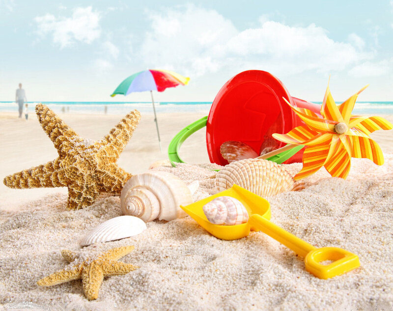 Beach Toys and Seashells