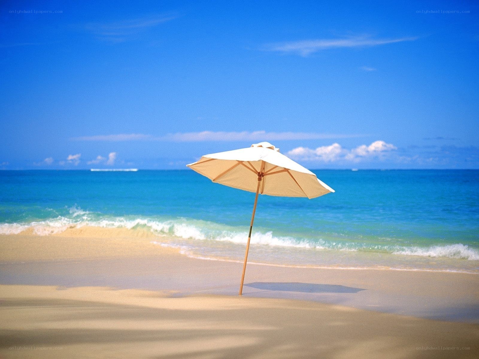Beach umbrella on sunny day