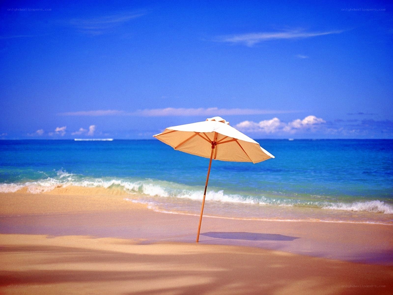 Beach umbrella on sunny day