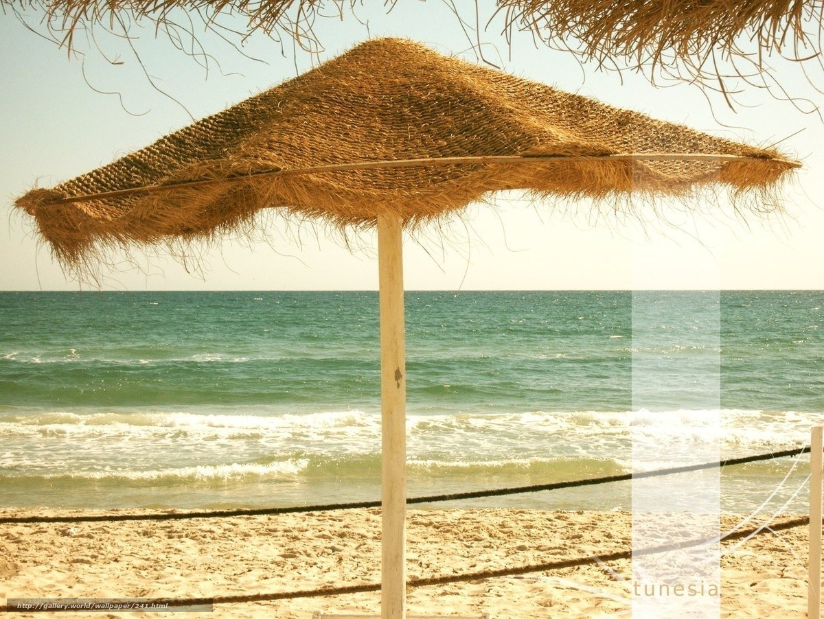 Beach umbrella with ocean view