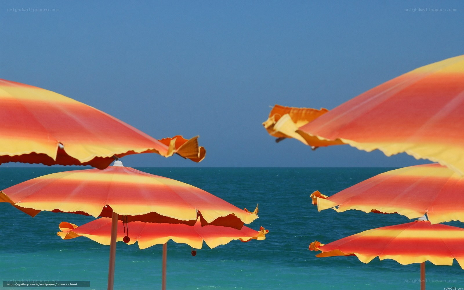 Beach umbrellas by the sea