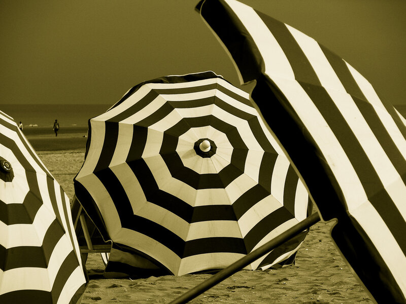 Beach umbrellas on a sandy shore
