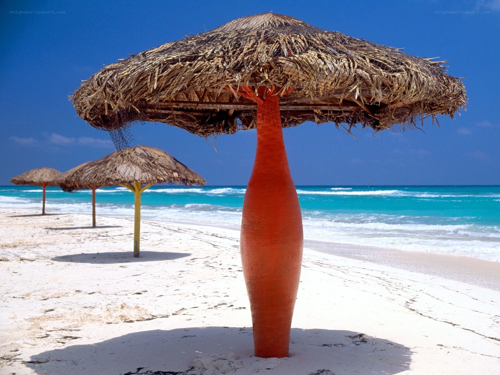 Beach umbrellas on a sunny day