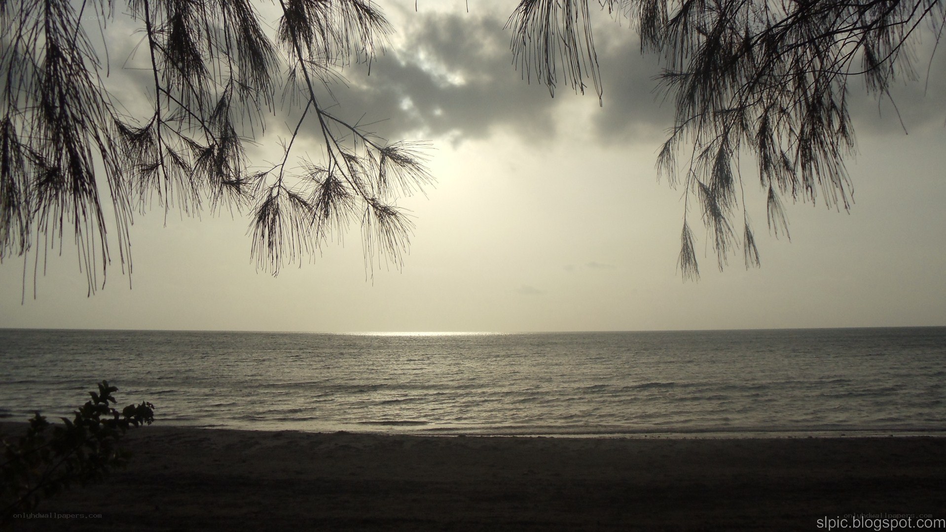 beach under cloudy sky