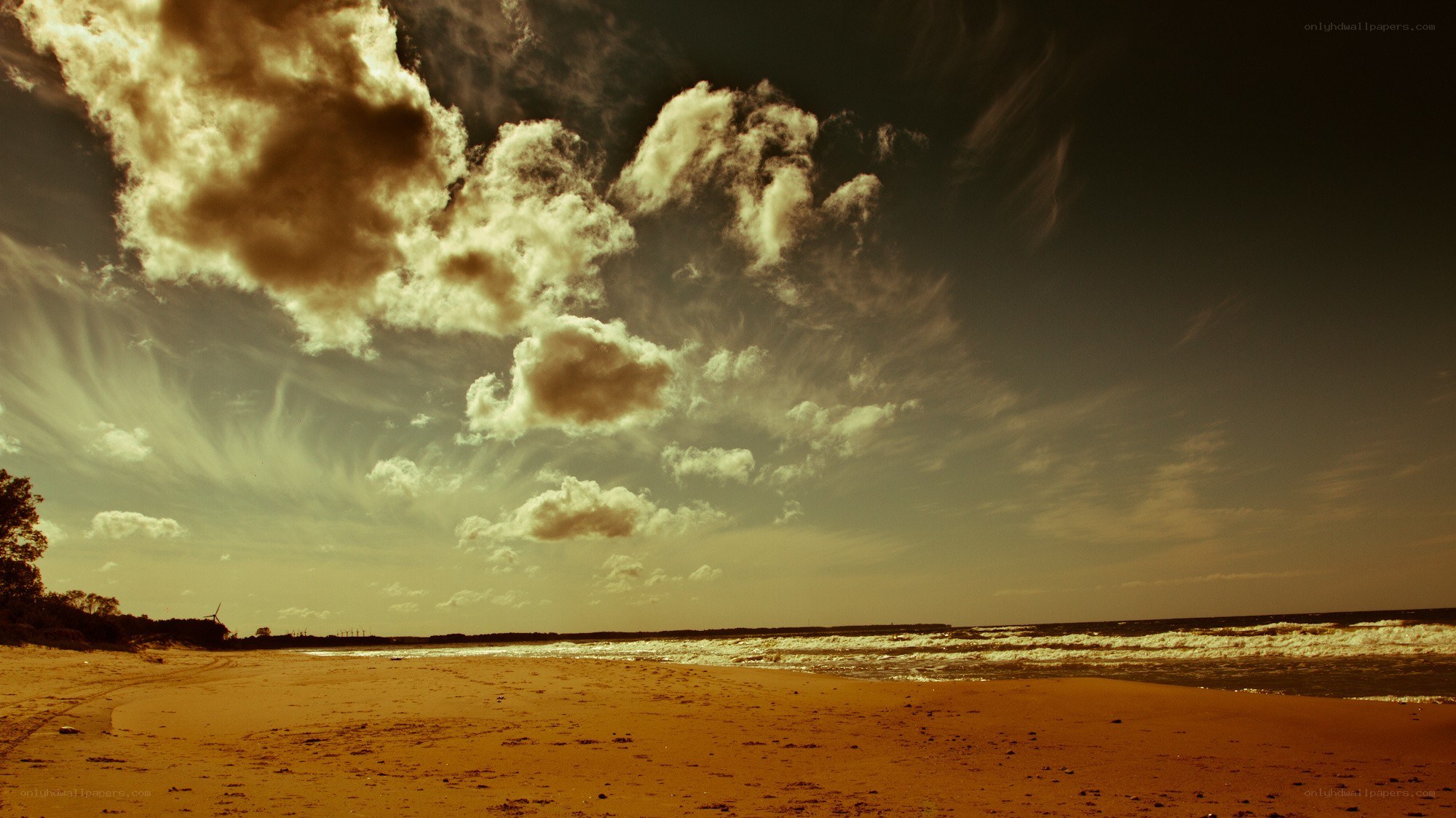 Beach under dramatic sky