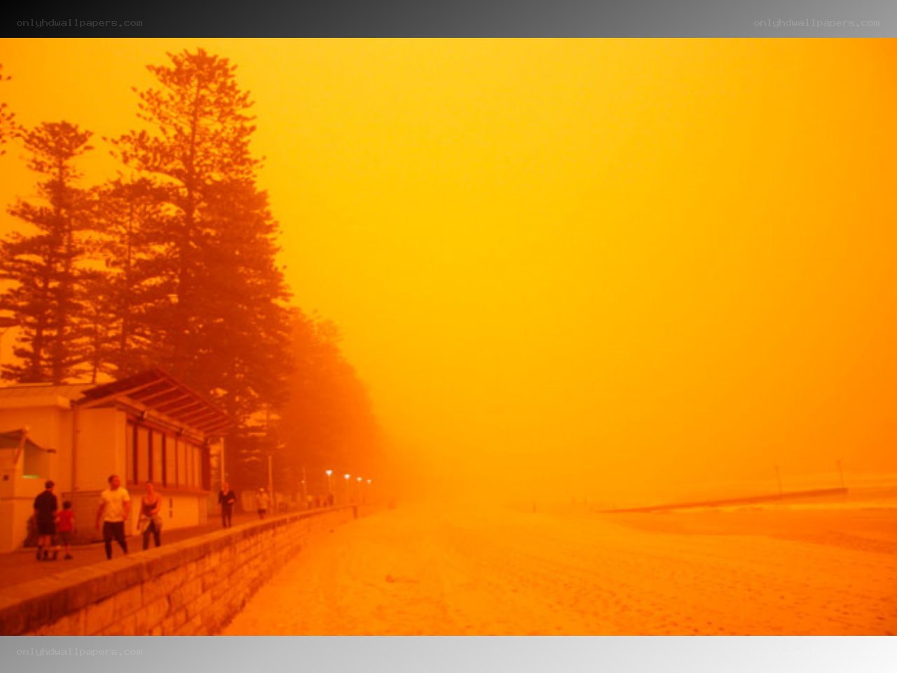 Beach under orange haze