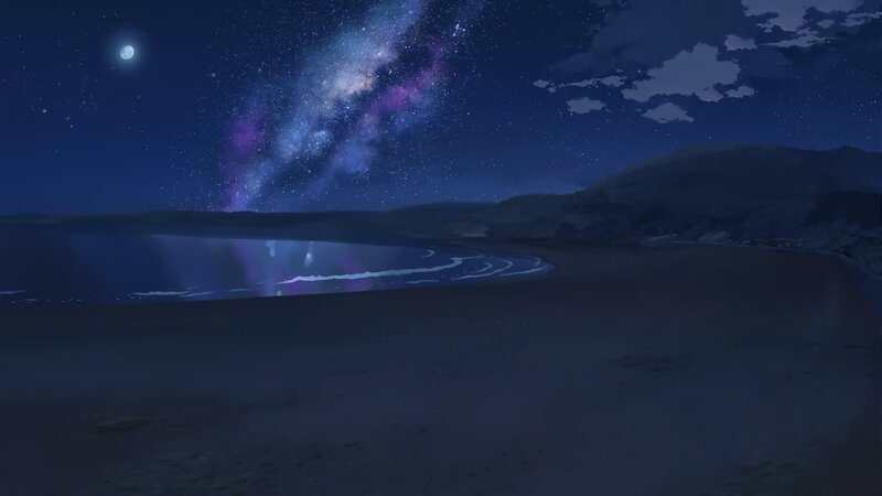 Beach under Starry Sky