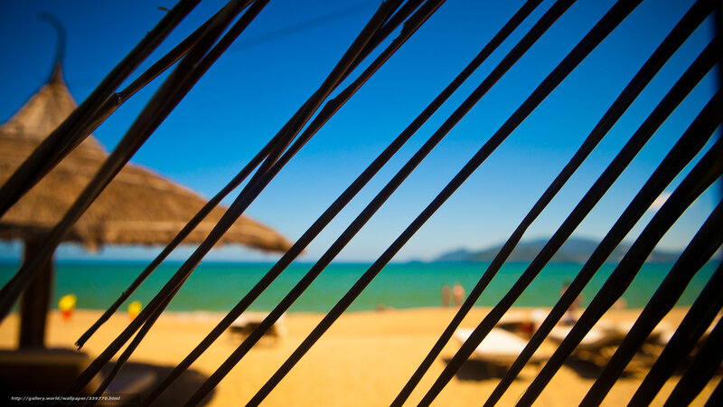 Beach View Through Palm Fronds — Blue