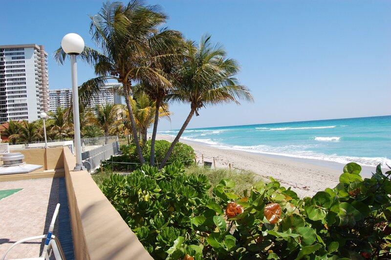 Beach view with palm trees