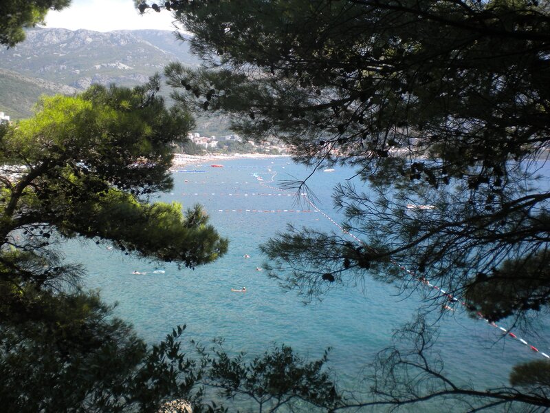 Beach Viewed Through Trees — Blue