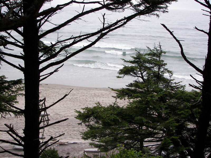 Beach Viewed Through Trees