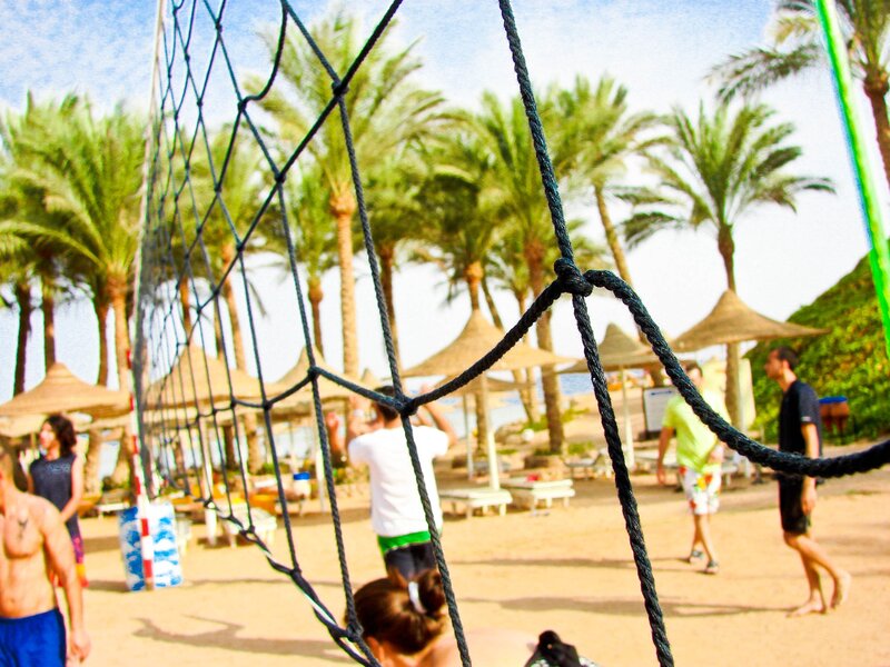 Beach volleyball game with palm trees