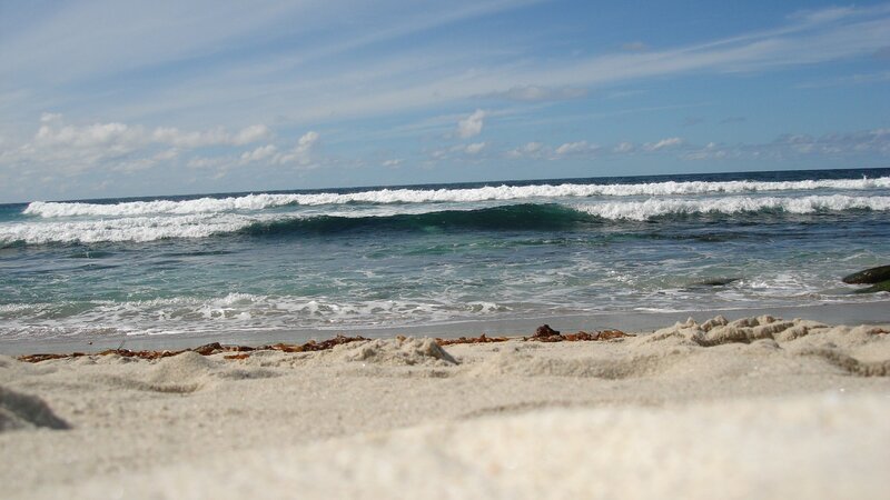 beach waves at the shore