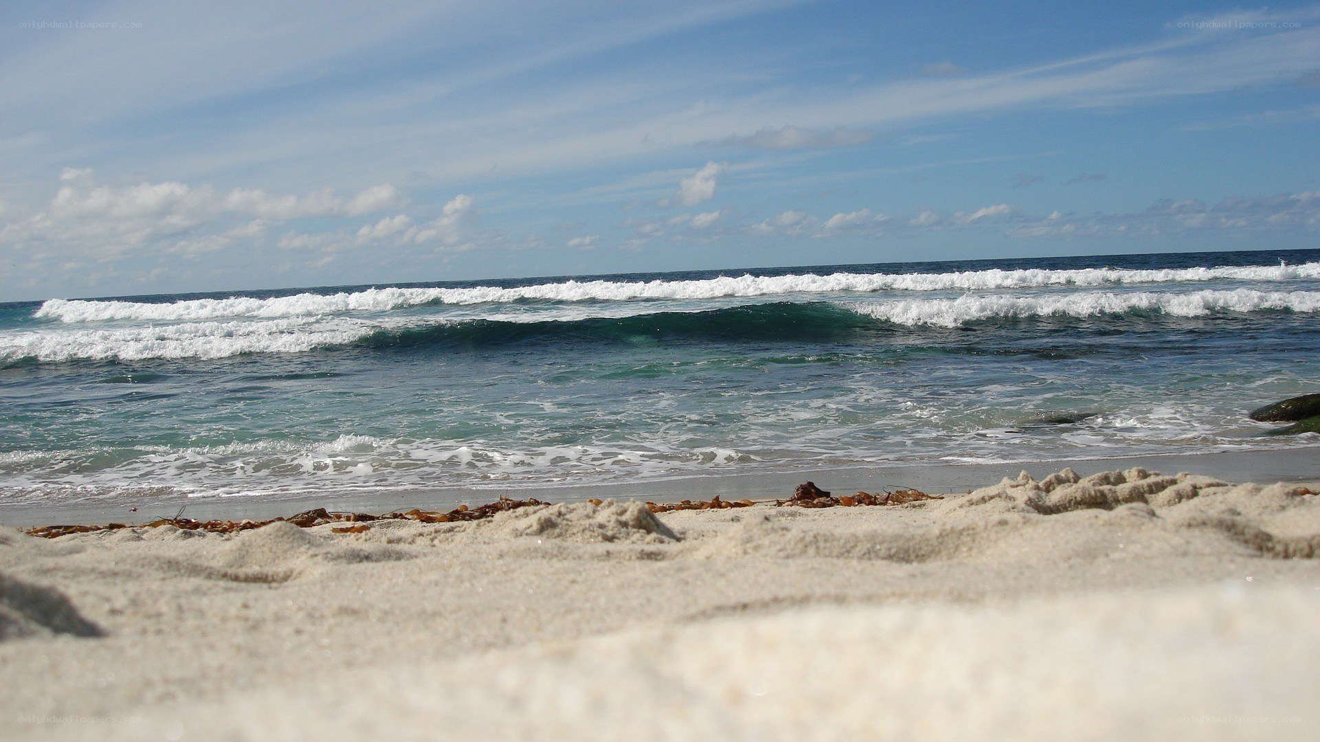 beach waves at the shore