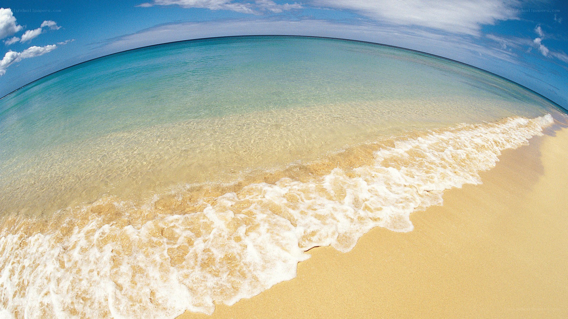beach waves on sandy shore