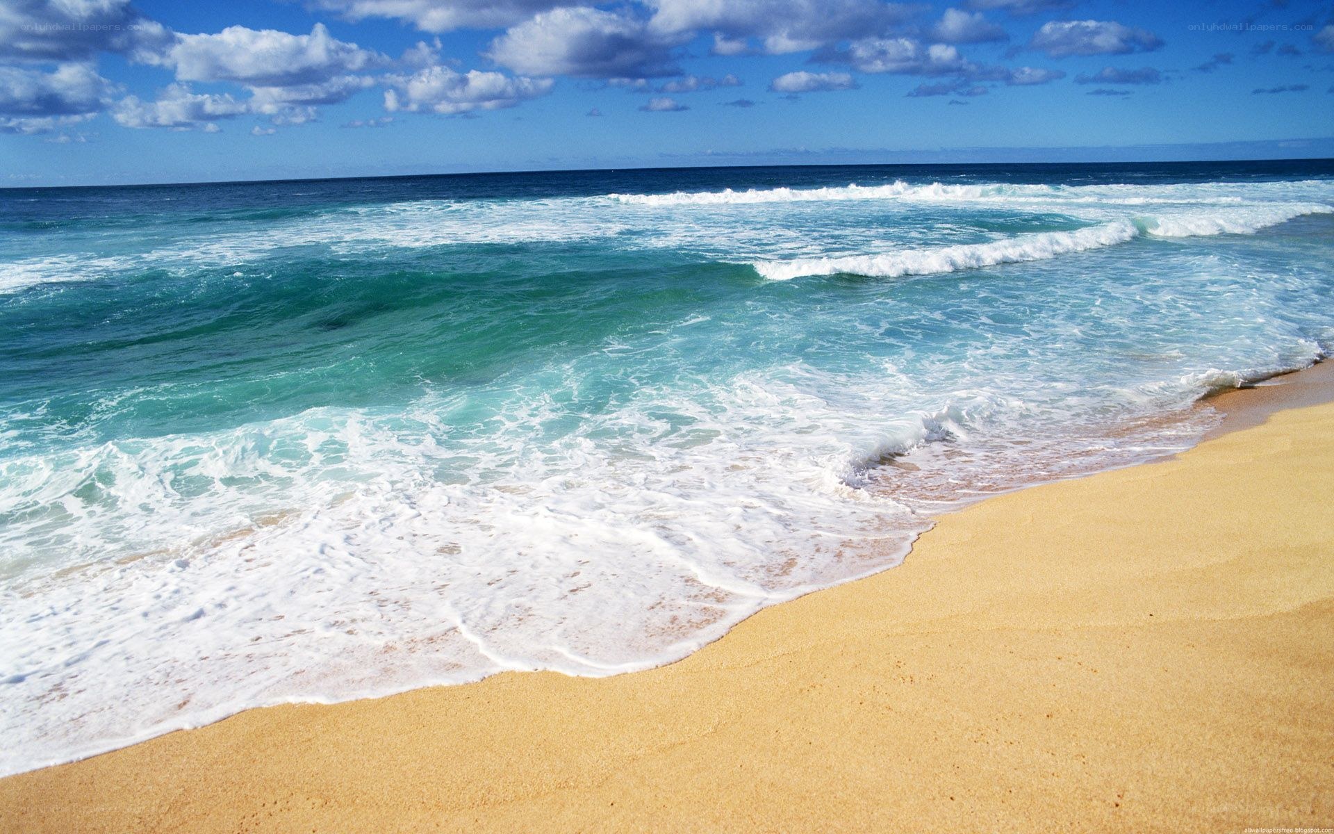 beach waves on sunny day
