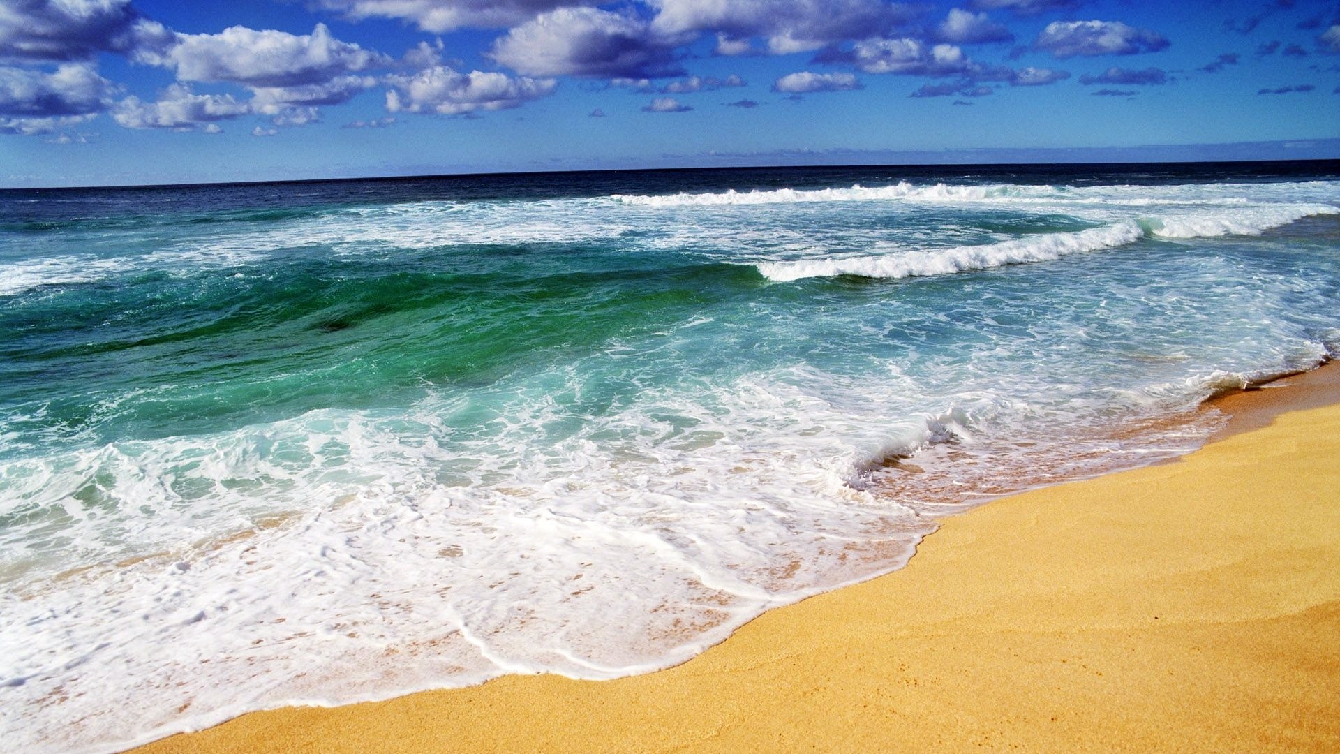 beach waves on sunny day