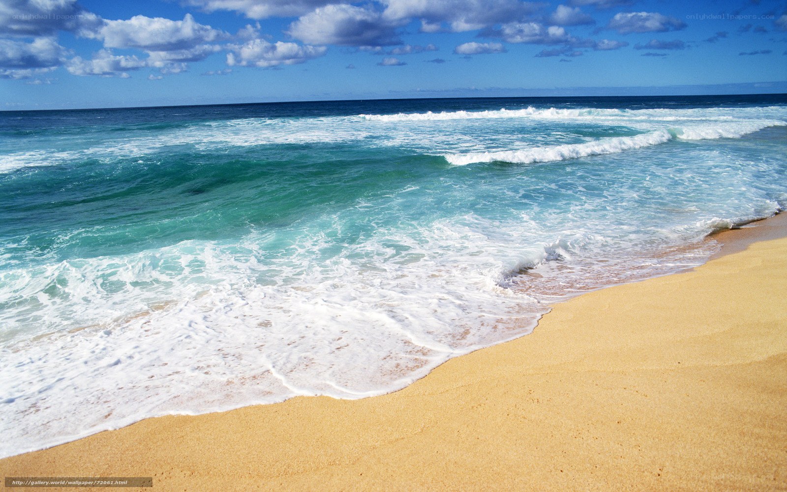 Beach waves on sunny day