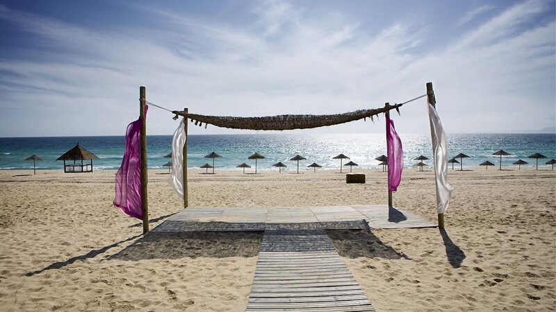 Beach Wedding Arch