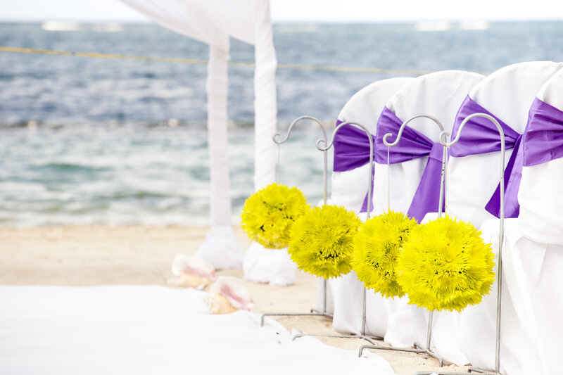 Beach Wedding Chairs