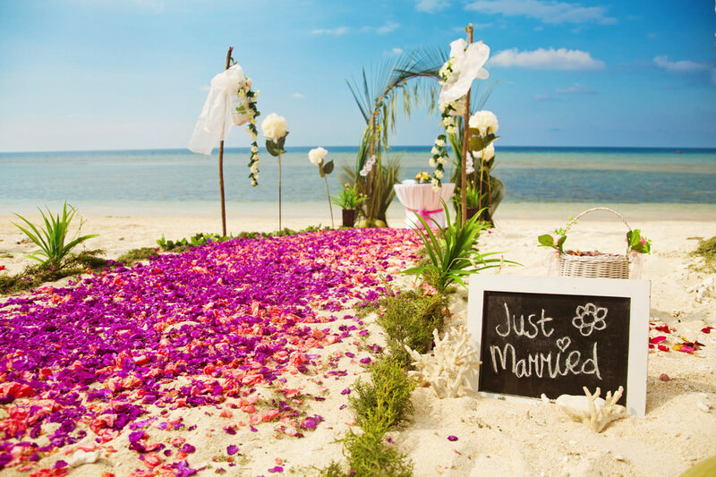 Beach Wedding Setup — Purple, Serene