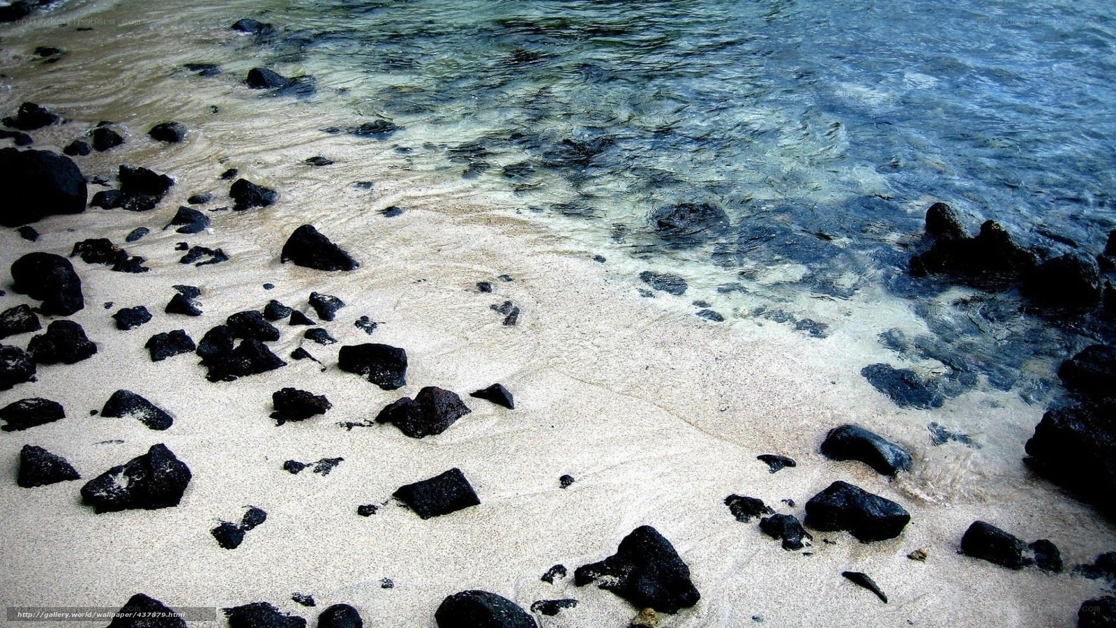 Beach with black rocks