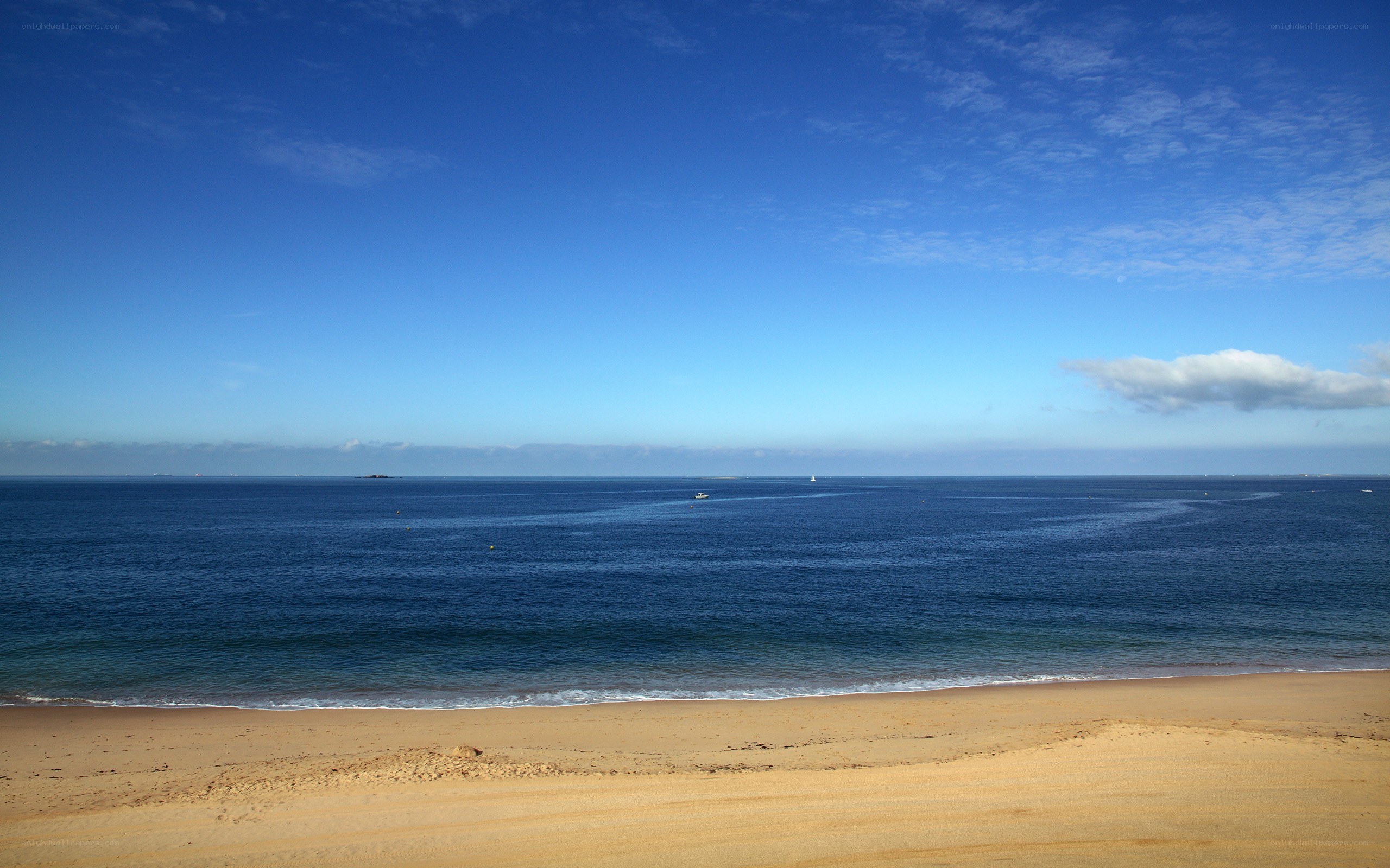 Beach with blue sky and ocean
