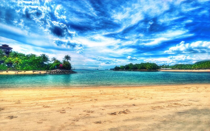 Beach with blue sky and palm trees