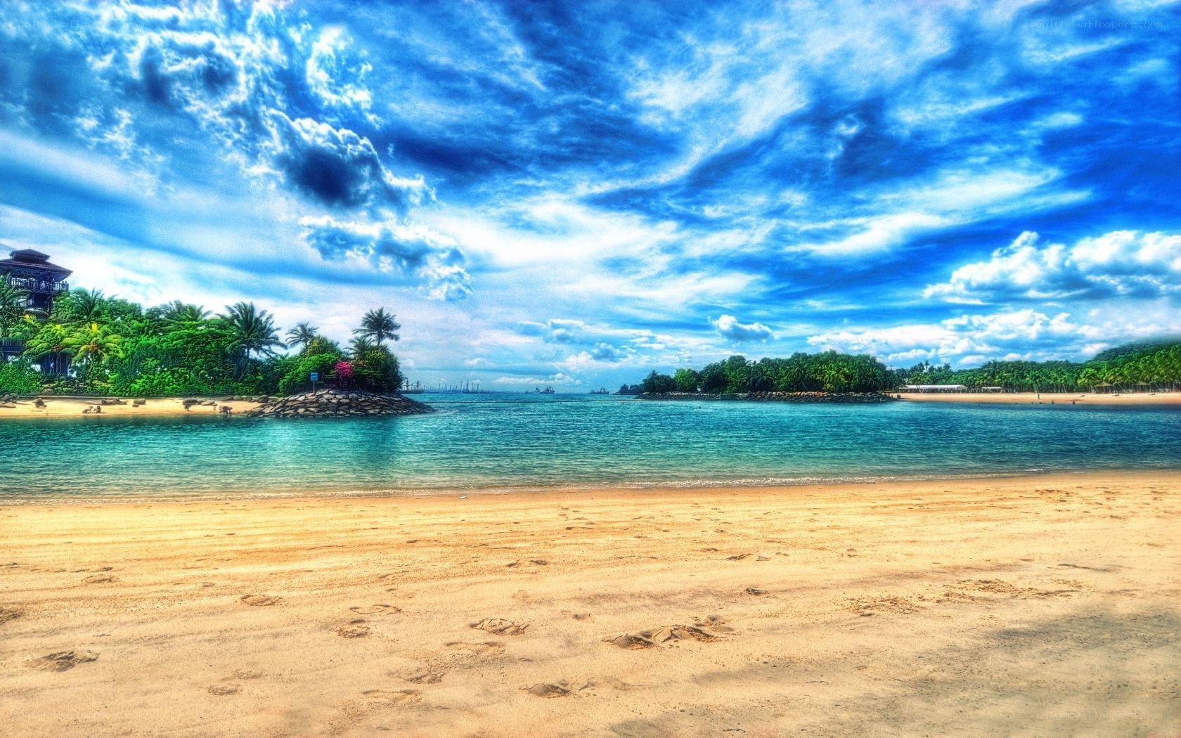 Beach with blue sky and palm trees