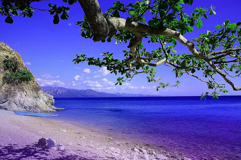 Beach with Boat and Tree — Blue