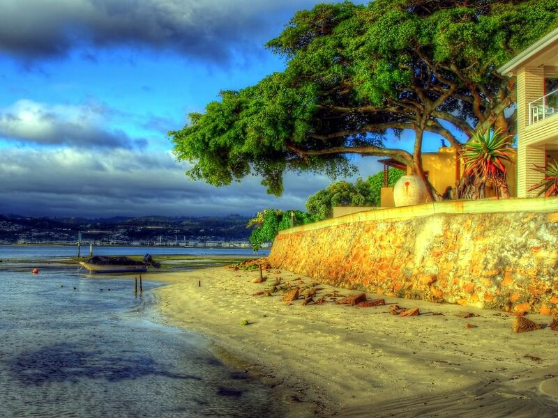 Beach with Boat and Tree