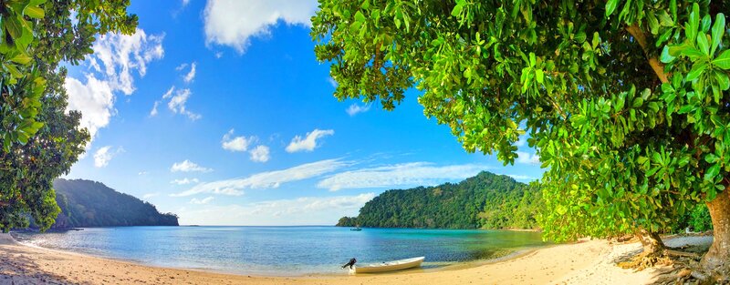 Beach with Boat and Trees