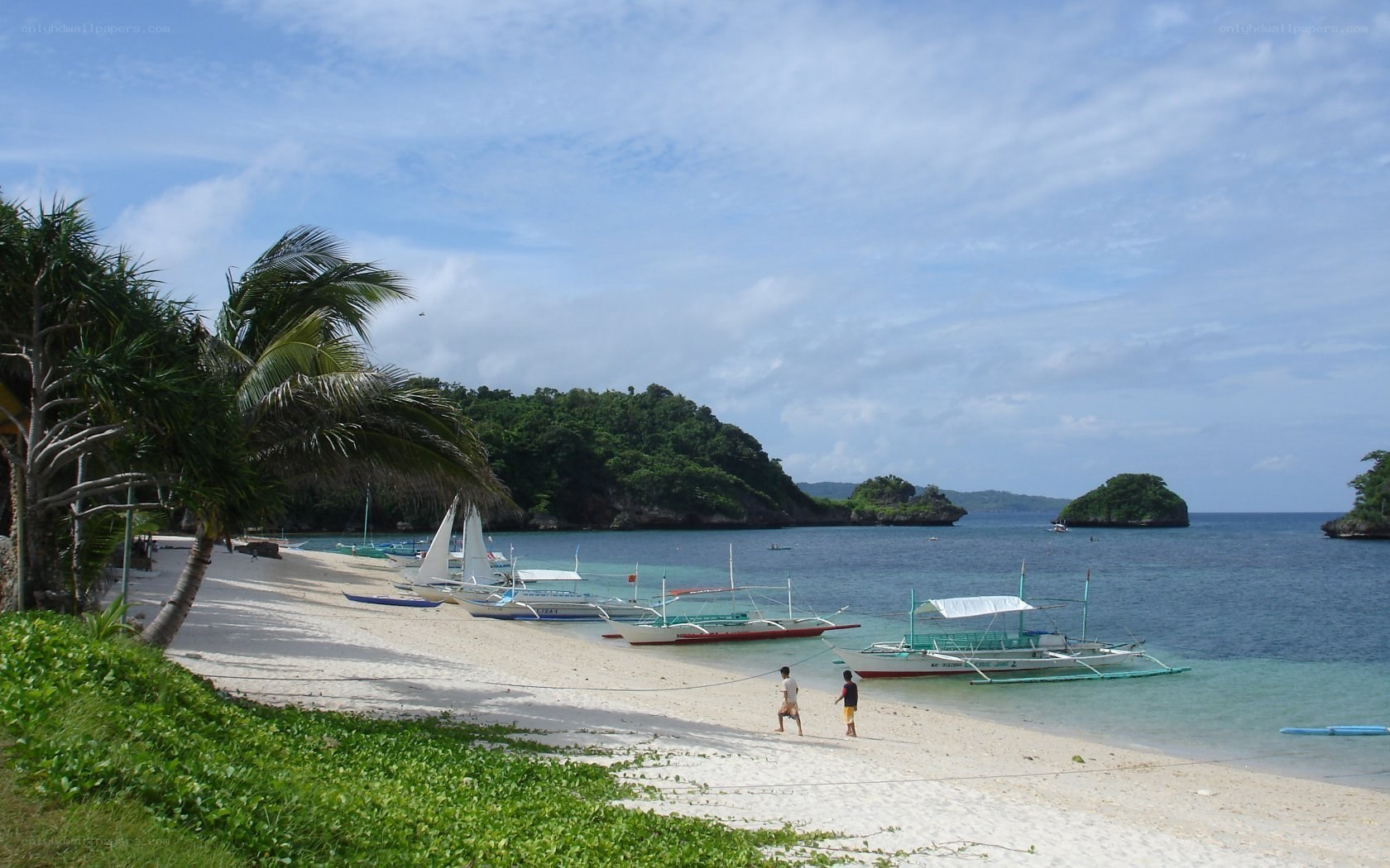 beach with boats and palm trees