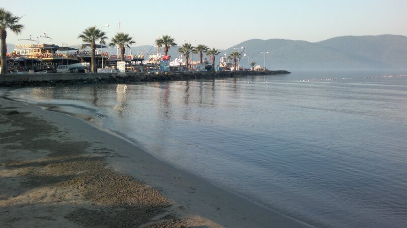Beach with Boats and Palm Trees — Blue, Calm