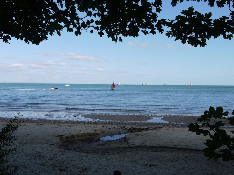 beach with boats and sailboat
