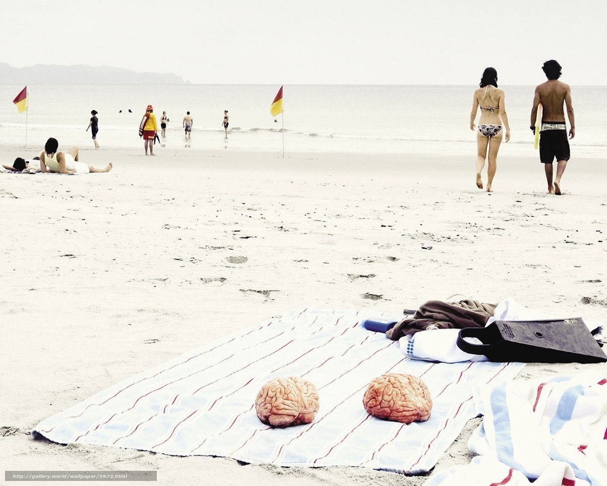 Beach with brain models