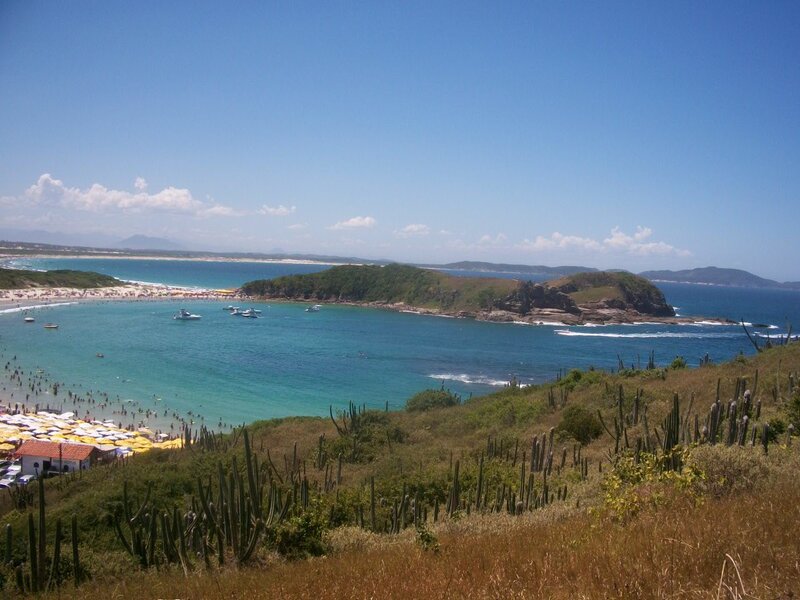 beach with cacti and boats