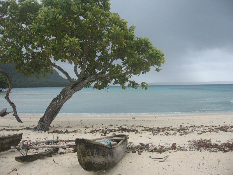 Beach with canoe and tree