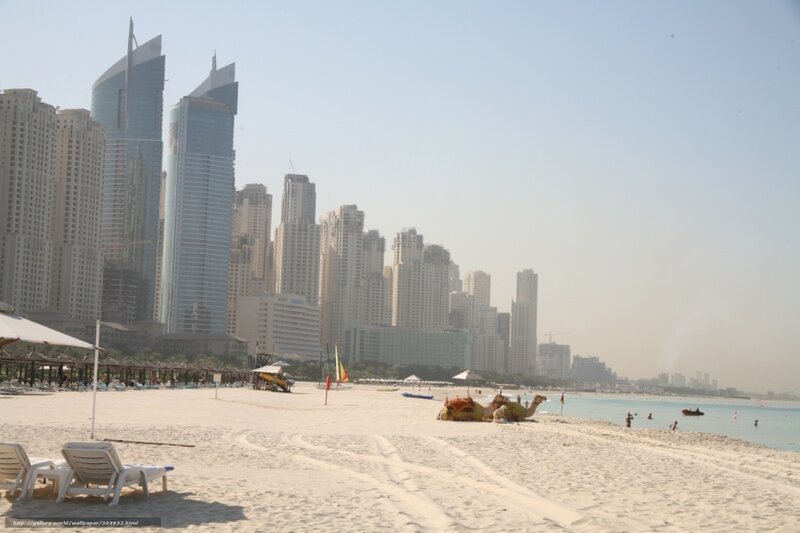 beach with city skyline