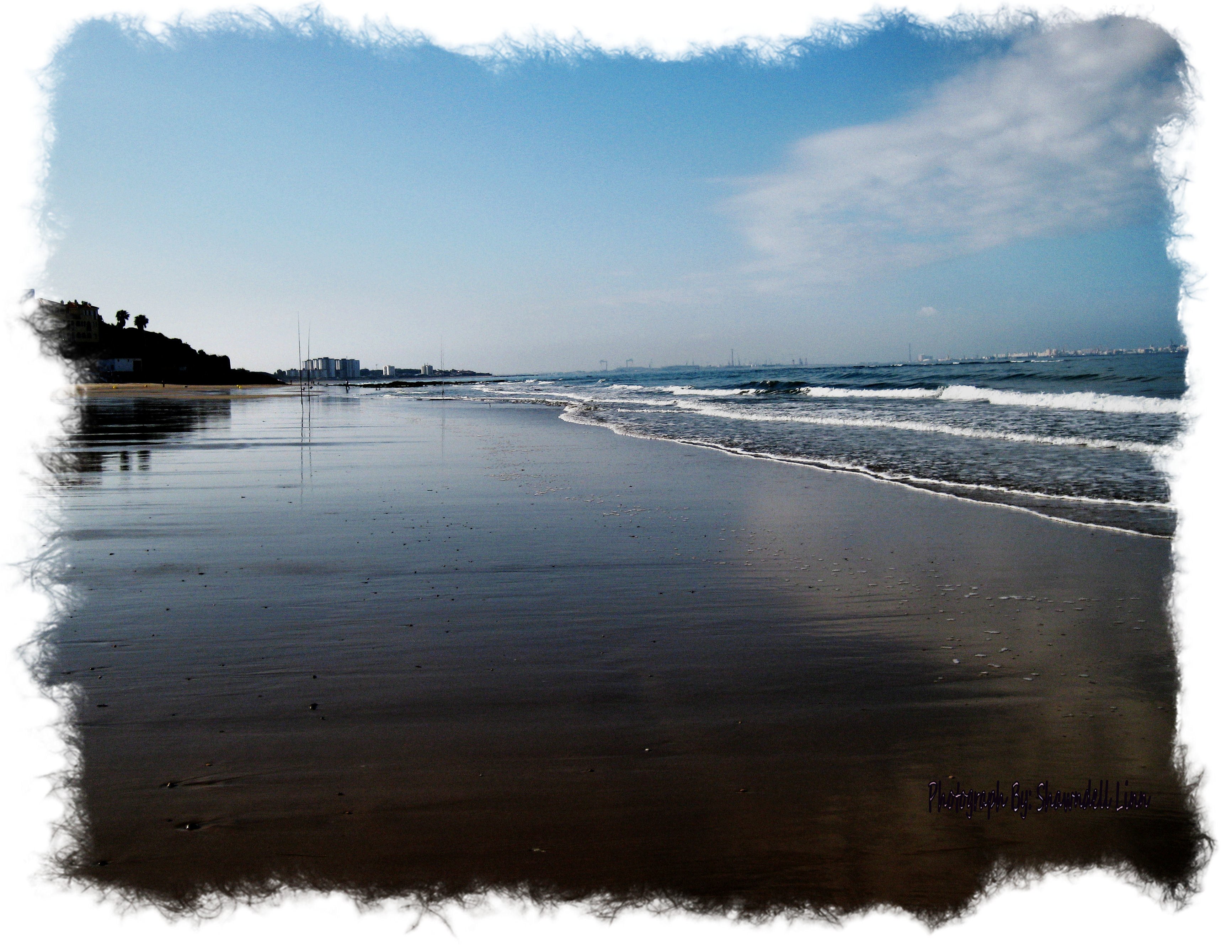 beach with city skyline