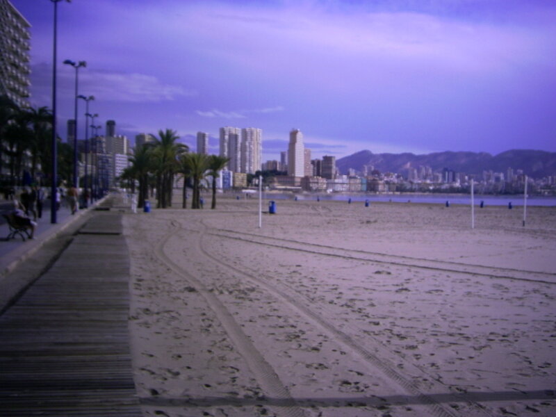 Beach with City Skyline — Purple