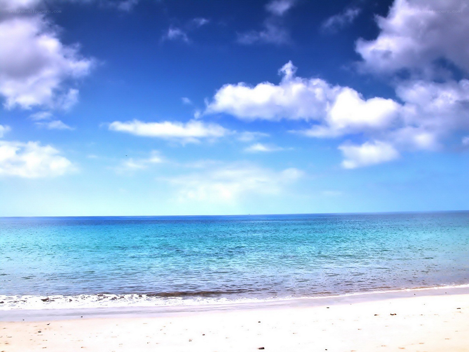 Beach with clear blue sky