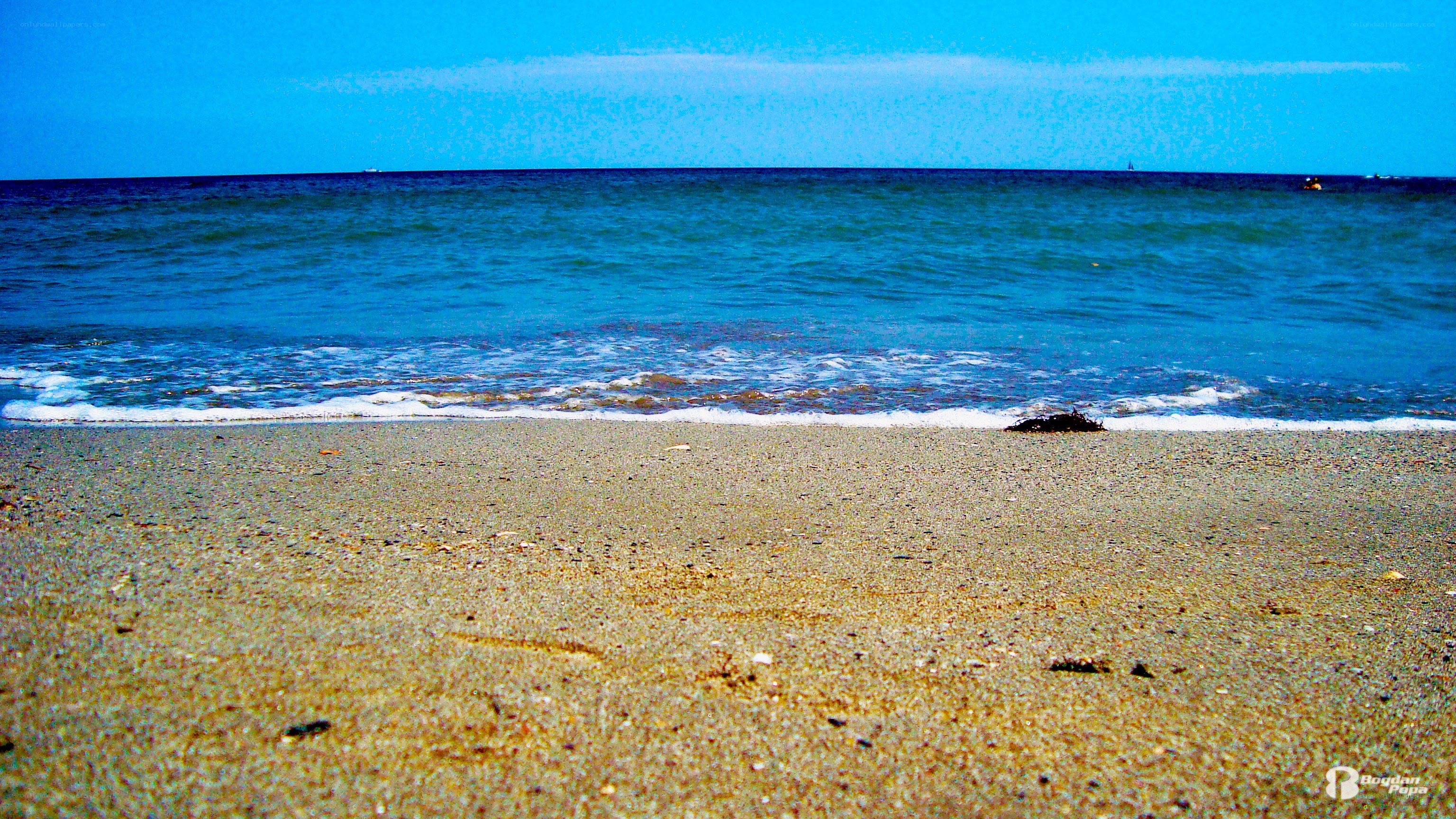 beach with clear blue water