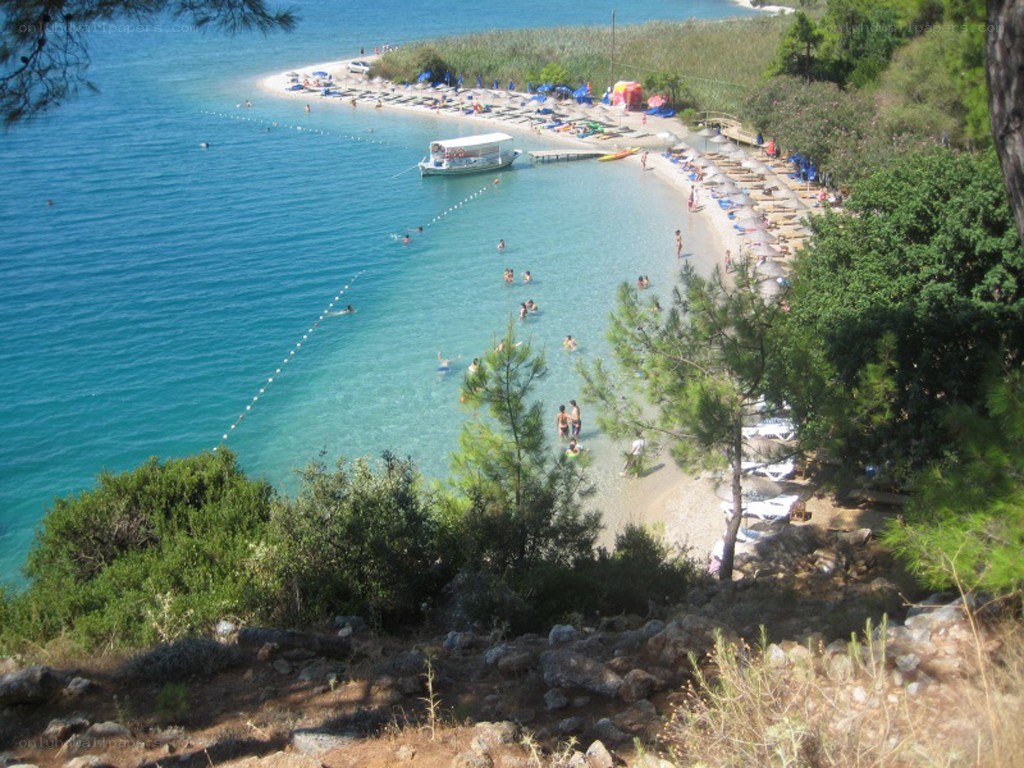 beach with clear blue water