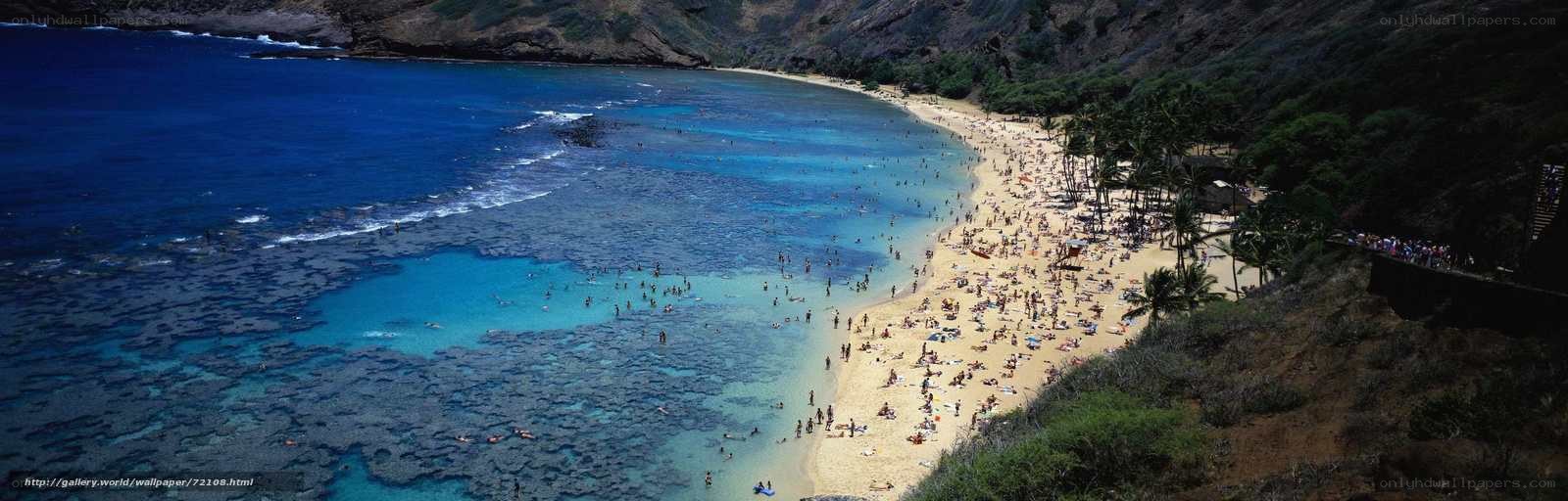 beach with clear blue water