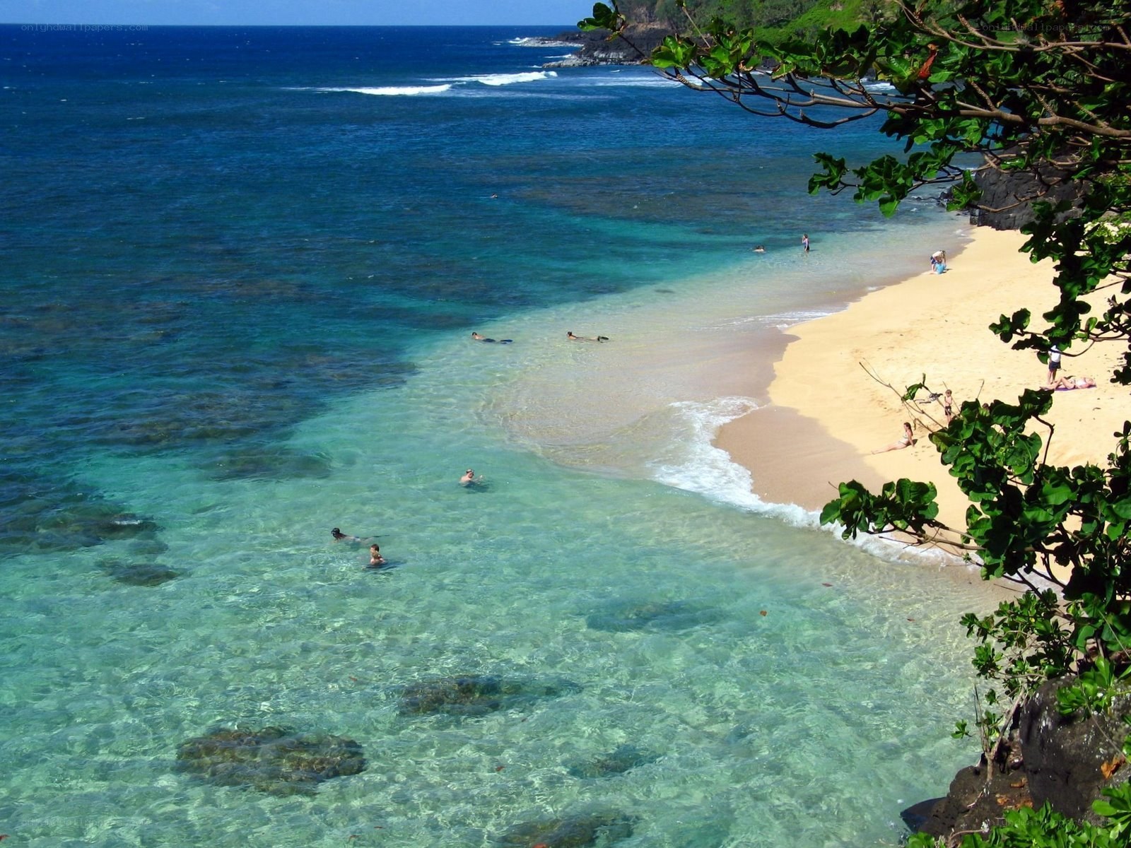 beach with clear turquoise water