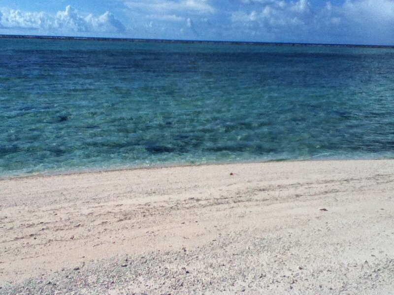 beach with clear water
