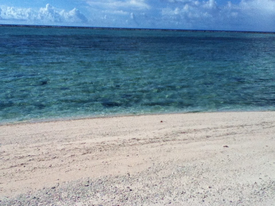 beach with clear water